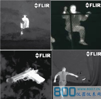 FLIR HS-324